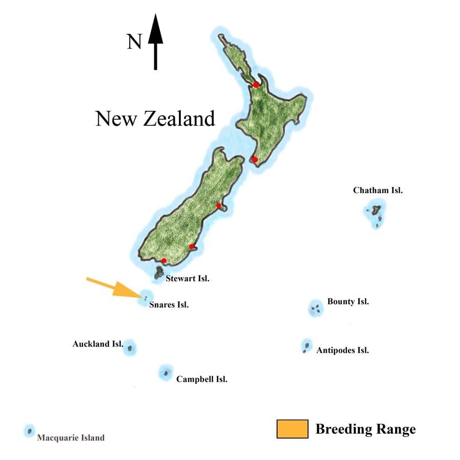 Mapa Nowa Zelandia i pobliskie wyspy