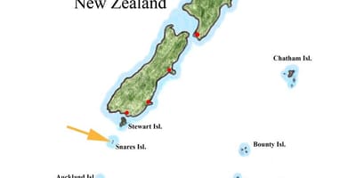 Mapa Nowa Zelandia i pobliskie wyspy